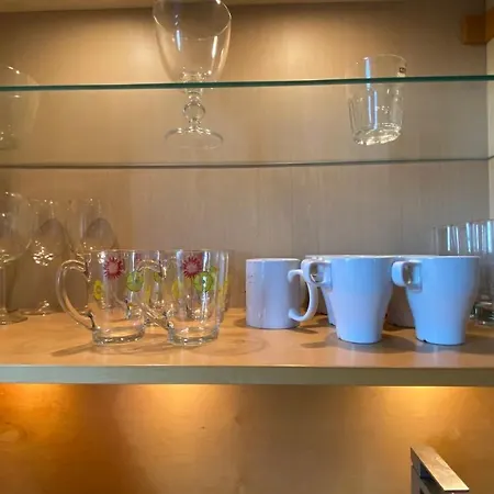 Galerius Harmony Penthouse 아파트 시오포크