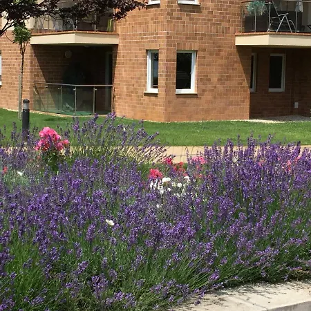 Galerius Harmony Penthouse شيوفوك